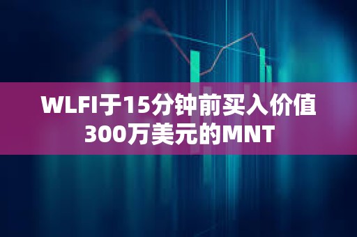 WLFI于15分鐘前買入價(jià)值300萬美元的MNT