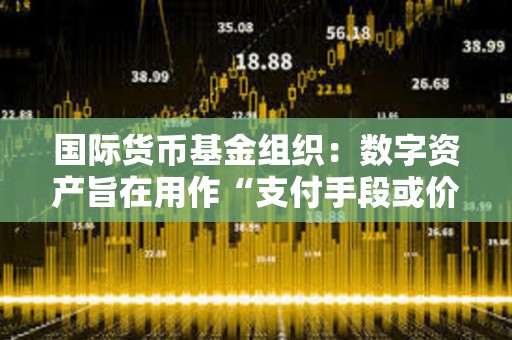 國際貨幣基金組織：數(shù)字資產(chǎn)旨在用作“支付手段或價(jià)值儲存手段”