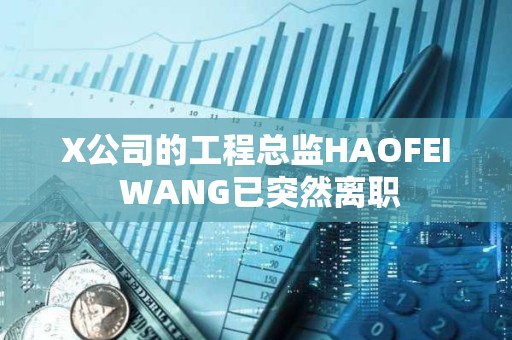 X公司的工程總監(jiān)HAOFEI WANG已突然離職