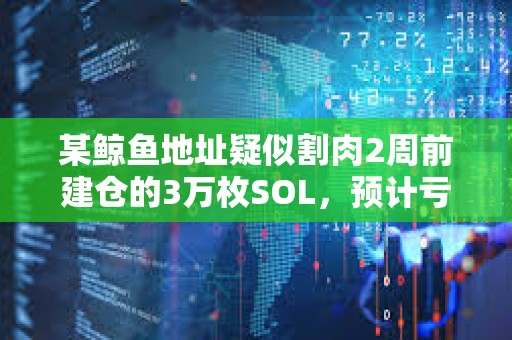某鯨魚地址疑似割肉2周前建倉的3萬枚SOL，預(yù)計(jì)虧損45.6萬美元