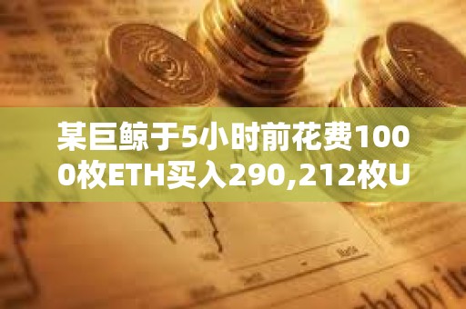 某巨鯨于5小時前花費1000枚ETH買入290,212枚UNI
