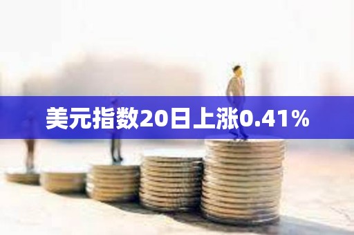 美元指數(shù)20日上漲0.41%