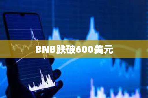 BNB跌破600美元
