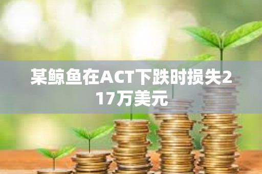 某鯨魚在ACT下跌時損失217萬美元