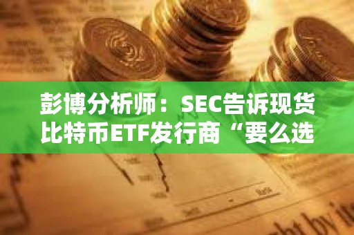 彭博分析師：SEC告訴現貨比特幣ETF發行商“要么選擇現金創建，要么等待”