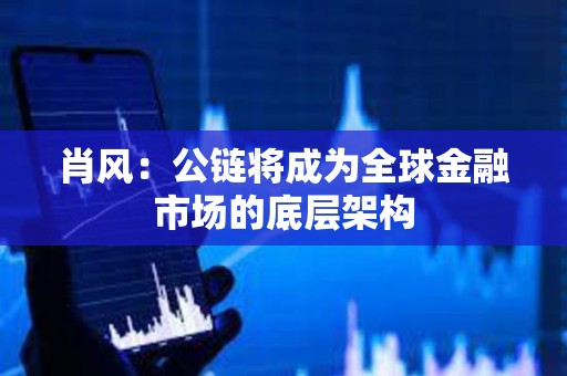 肖風：公鏈將成為全球金融市場的底層架構
