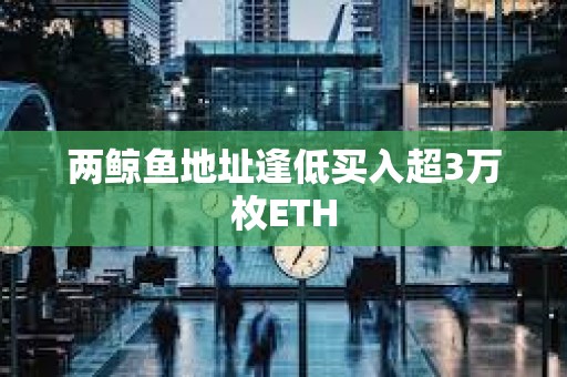 兩鯨魚地址逢低買入超3萬枚ETH