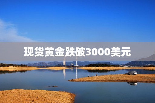 現貨黃金跌破3000美元