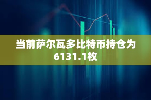 當前薩爾瓦多比特幣持倉為6131.1枚