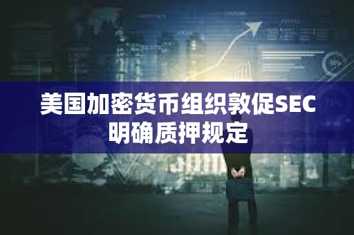 美國加密貨幣組織敦促SEC明確質(zhì)押規(guī)定