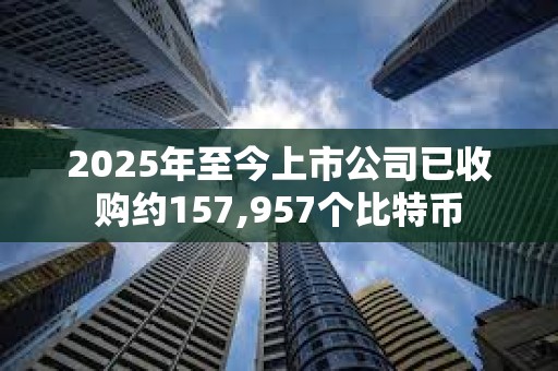 2025年至今上市公司已收購約157,957個比特幣