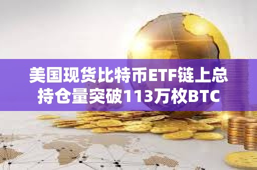 美國現貨比特幣ETF鏈上總持倉量突破113萬枚BTC