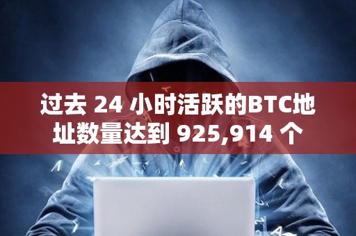 過去 24 小時(shí)活躍的BTC地址數(shù)量達(dá)到 925,914 個(gè)