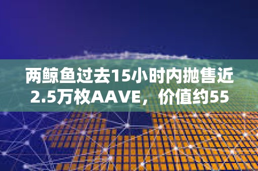 兩鯨魚過去15小時內拋售近2.5萬枚AAVE，價值約551萬美元