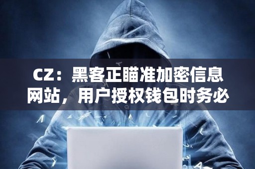 CZ：黑客正瞄準(zhǔn)加密信息網(wǎng)站，用戶授權(quán)錢包時務(wù)必小心