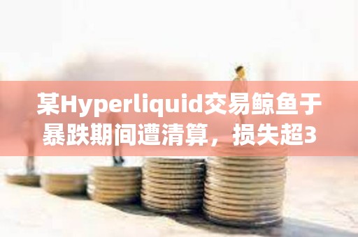 某Hyperliquid交易鯨魚于暴跌期間遭清算，損失超350萬美元