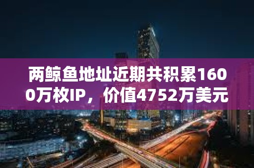 兩鯨魚地址近期共積累1600萬枚IP，價值4752萬美元