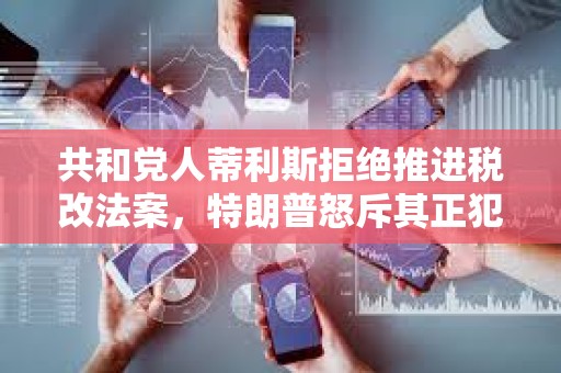 共和黨人蒂利斯拒絕推進稅改法案,特朗普怒斥其正犯下大錯 共和黨人蒂利斯拒絕推進稅改法案,特朗普怒斥其正犯下大錯