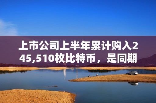 上市公司上半年累計(jì)購入245,510枚比特幣，是同期ETF購入量的兩倍多