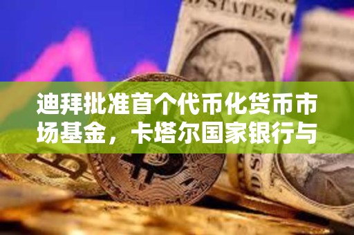 迪拜批準首個代幣化貨幣市場基金,卡塔爾國家銀行與DMZ Finance聯合推出 迪拜批準首個代幣化貨幣市場基金,卡塔爾國家銀行與DMZ Finance聯合推出