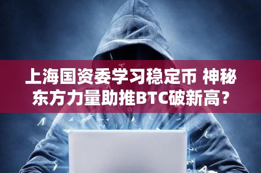 上海國資委學習穩定幣 神秘東方力量助推BTC破新高？