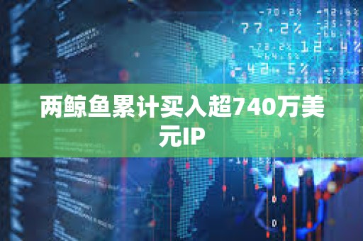 兩鯨魚累計買入超740萬美元IP