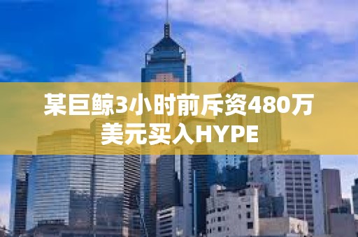 某巨鯨3小時前斥資480萬美元買入HYPE