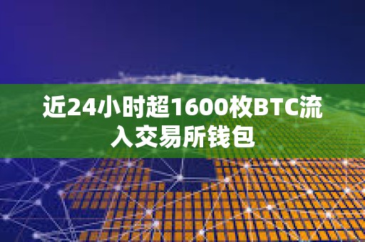 近24小時超1600枚BTC流入交易所錢包