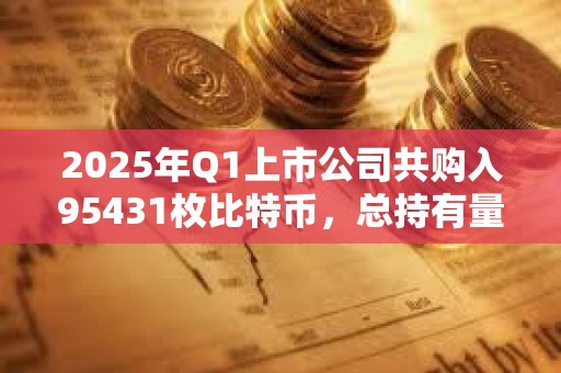 2025年Q1上市公司共購入95431枚比特幣，總持有量達(dá)68.8萬枚