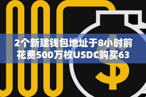 2個新建錢包地址于8小時前花費500萬枚USDC購買630,339枚TRUMP