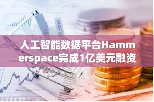 人工智能數(shù)據(jù)平臺(tái)Hammerspace完成1億美元融資，Altimeter Capital和ARK Invest領(lǐng)投