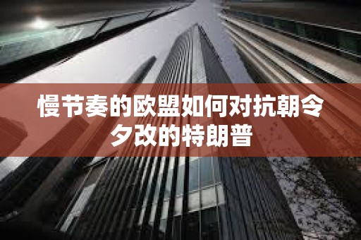 慢節(jié)奏的歐盟如何對(duì)抗朝令夕改的特朗普