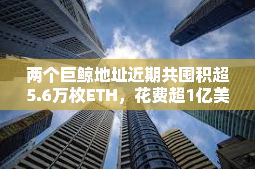 兩個(gè)巨鯨地址近期共囤積超5.6萬(wàn)枚ETH，花費(fèi)超1億美元