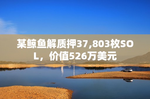 某鯨魚解質押37,803枚SOL，價值526萬美元