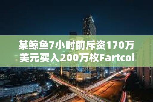 某鯨魚7小時前斥資170萬美元買入200萬枚Fartcoin
