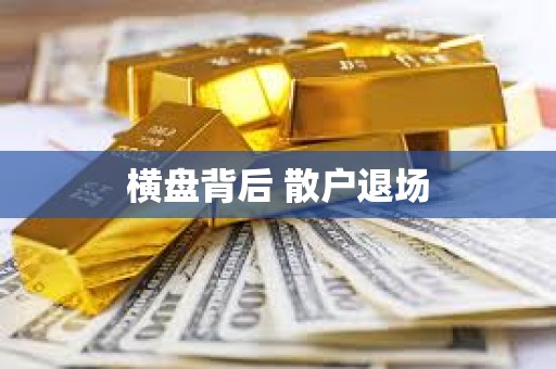 橫盤背后 散戶退場