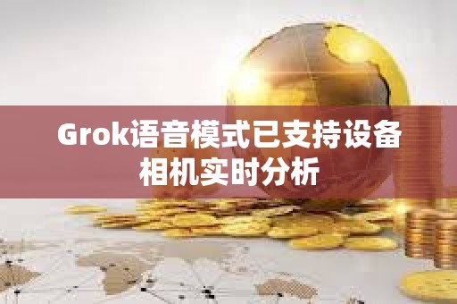Grok語音模式已支持設(shè)備相機(jī)實時分析
