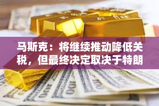 馬斯克：將繼續推動降低關稅，但最終決定取決于特朗普
