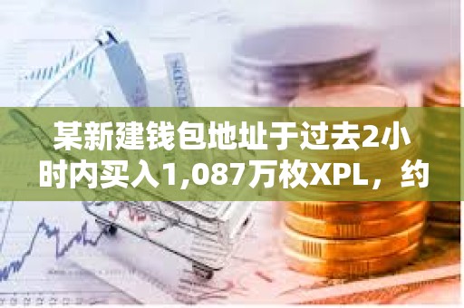 某新建錢包地址于過去2小時內買入1,087萬枚XPL，約合1,360萬美元