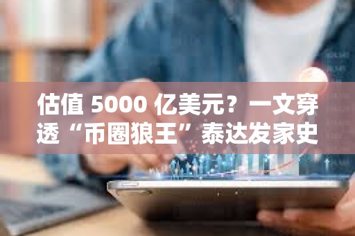 估值 5000 億美元？一文穿透“幣圈狼王”泰達發家史