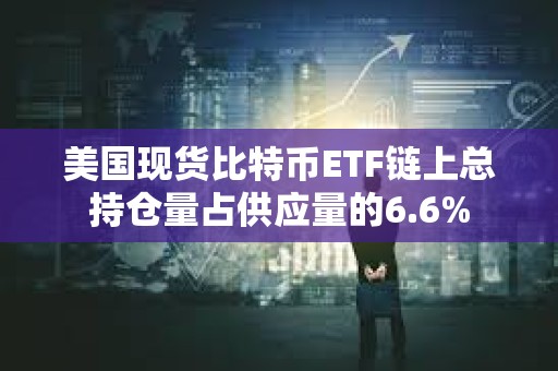美國(guó)現(xiàn)貨比特幣ETF鏈上總持倉(cāng)量占供應(yīng)量的6.6%