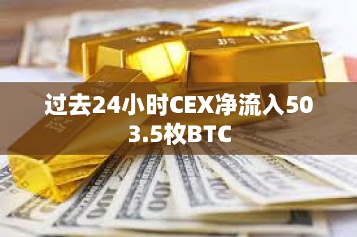 過(guò)去24小時(shí)CEX凈流入503.5枚BTC