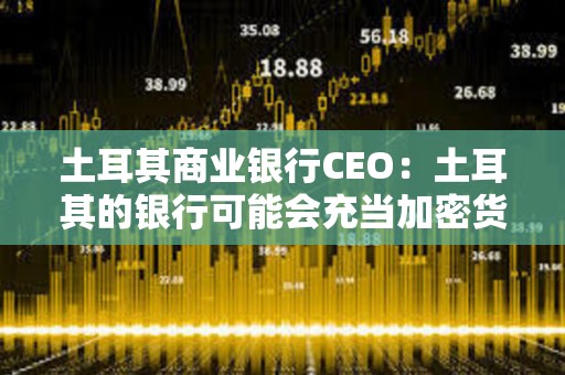 土耳其商業銀行CEO：土耳其的銀行可能會充當加密貨幣托管人
