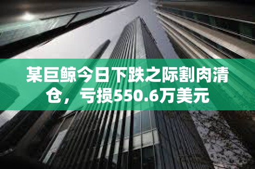 某巨鯨今日下跌之際割肉清倉，虧損550.6萬美元