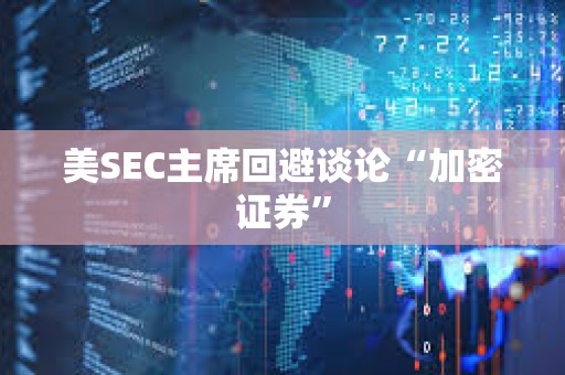 美SEC主席回避談?wù)摗凹用茏C券”