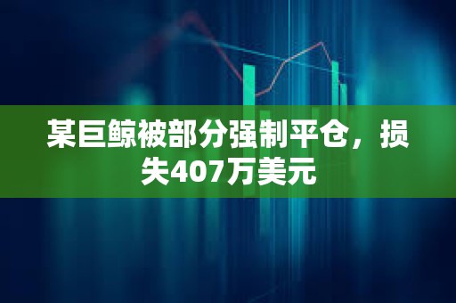 某巨鯨被部分強制平倉，損失407萬美元