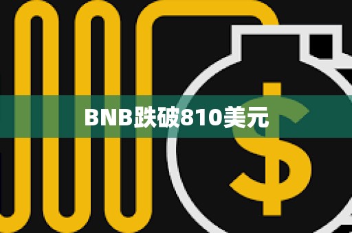 BNB跌破810美元