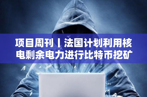 項目周刊丨法國計劃利用核電剩余電力進行比特幣挖礦 以太坊會議決定移除EIP 7907