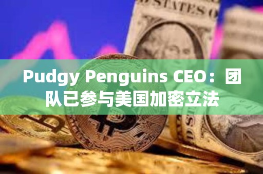 Pudgy Penguins CEO：團隊已參與美國加密立法
