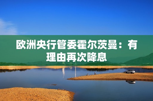 歐洲央行管委霍爾茨曼：有理由再次降息
